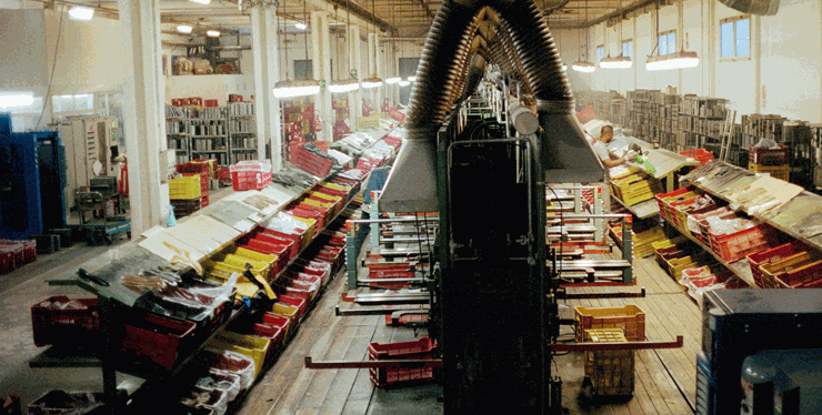 Odoo CMS - a big picture